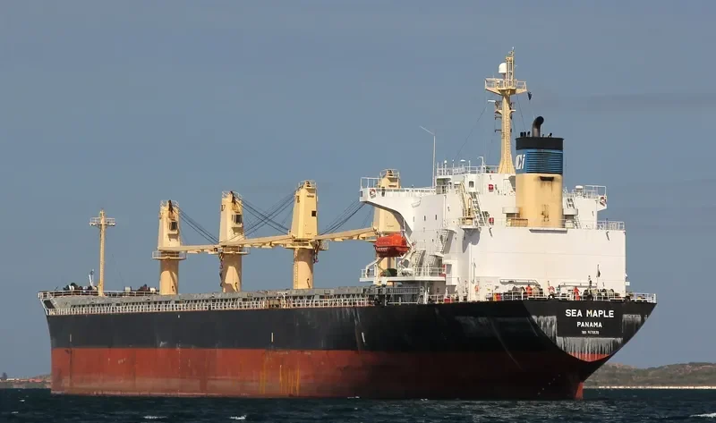 SEA MAPLE Bulk Carrier IMO 9176670 photo 6