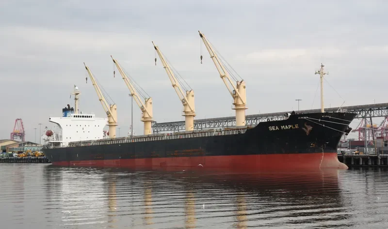 SEA MAPLE Bulk Carrier IMO 9176670 photo 7