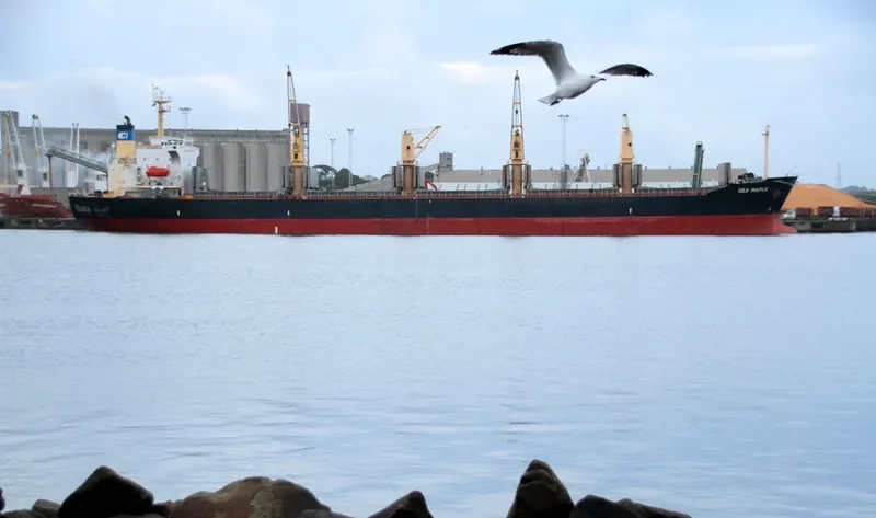 SEA MAPLE Bulk Carrier IMO 9176670 photo 8