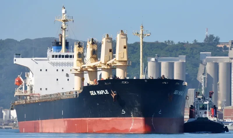 SEA MAPLE Bulk Carrier IMO 9176670 photo 9