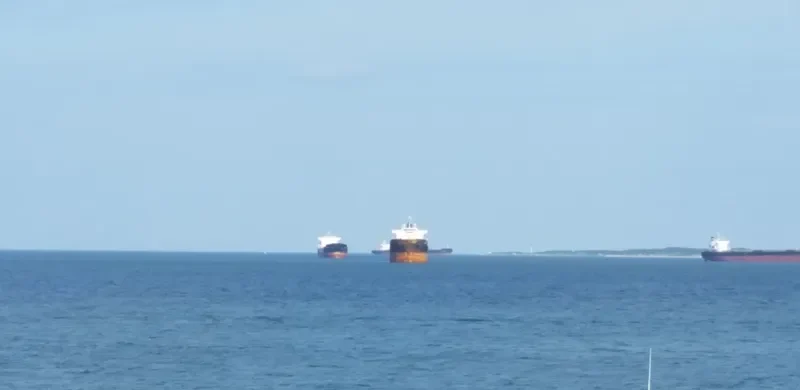 WEI QIN Bulk Carrier IMO 9176711
