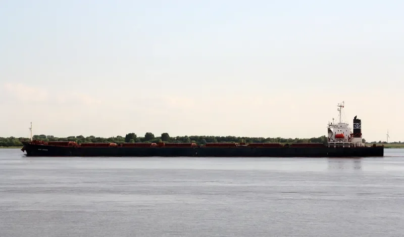 WEI QIN Bulk Carrier IMO 9176711 photo 8