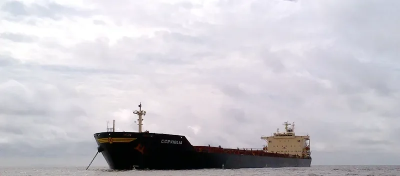 OCEANIC GODNESS Bulk Carrier IMO 9176747 photo 6