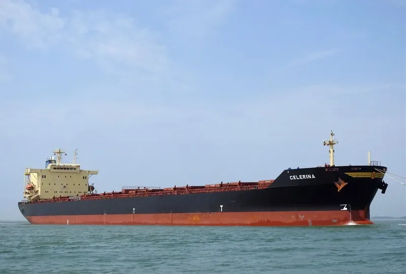 ASIAN MAJESTY Bulk Carrier IMO 9176759 photo 2