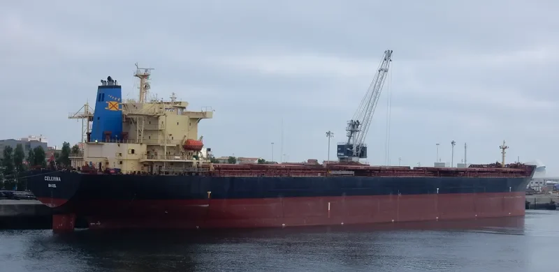 ASIAN MAJESTY Bulk Carrier IMO 9176759 photo 3