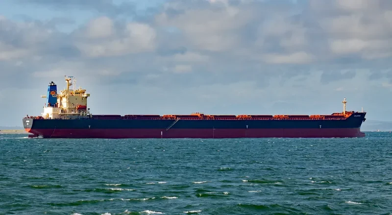 ASIAN MAJESTY Bulk Carrier IMO 9176759 photo 4
