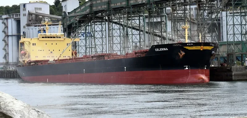 ASIAN MAJESTY Bulk Carrier IMO 9176759 photo 5