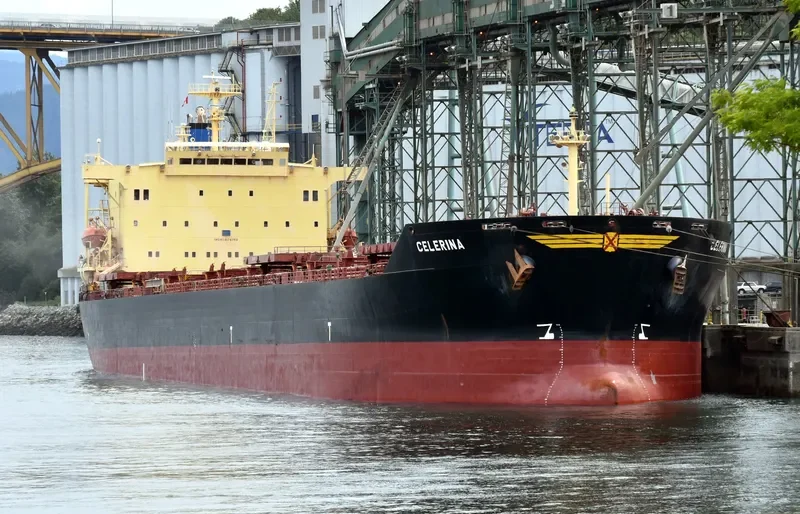 ASIAN MAJESTY Bulk Carrier IMO 9176759 photo 7
