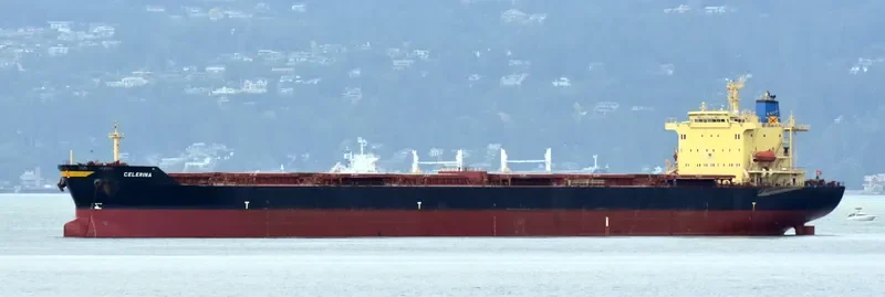 ASIAN MAJESTY Bulk Carrier IMO 9176759 photo 8