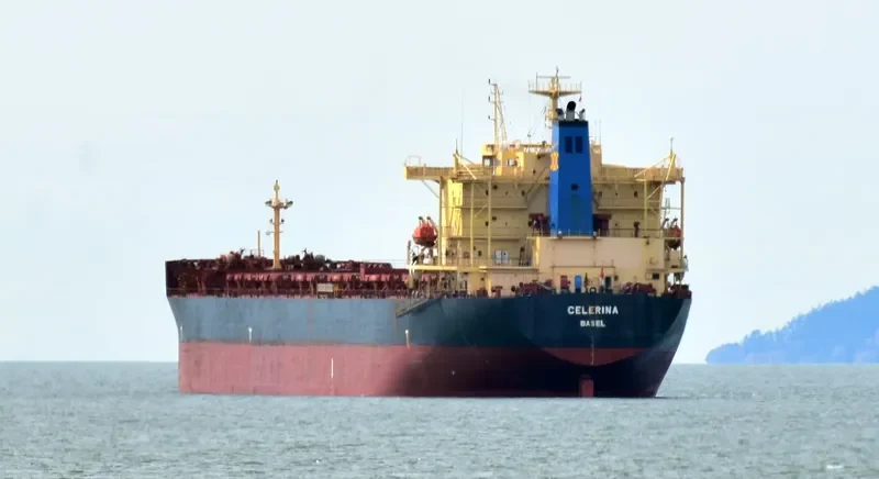 ASIAN MAJESTY Bulk Carrier IMO 9176759 photo 9