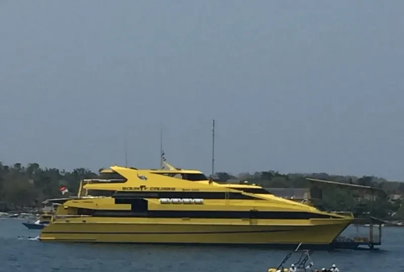 BOUNTY CRUISES Ro-Ro IMO 9177337 photo 2
