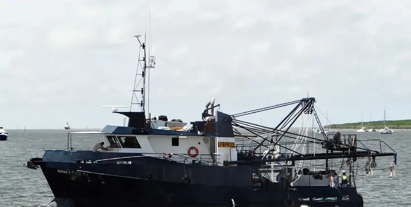 KODIAK T General Cargo IMO 9177363