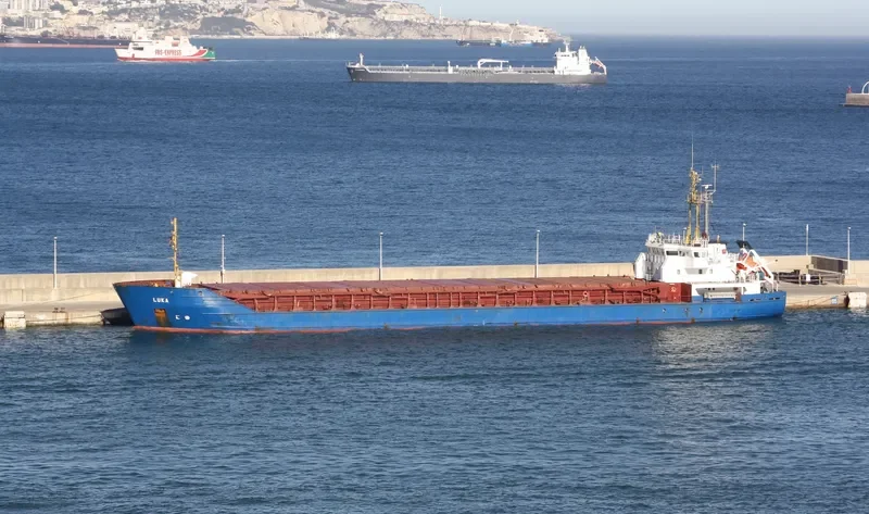 MOON STEP Container Ship IMO 9177399 photo 5