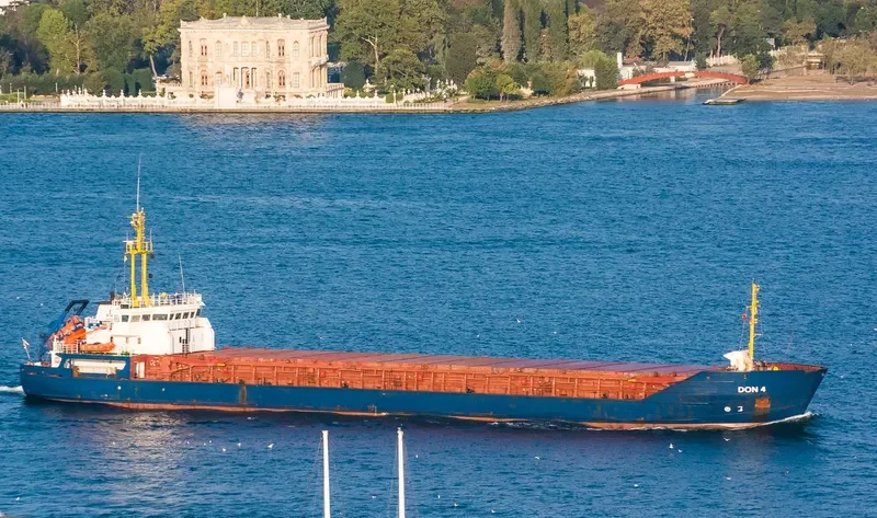 MOON STEP Container Ship IMO 9177399 photo 10