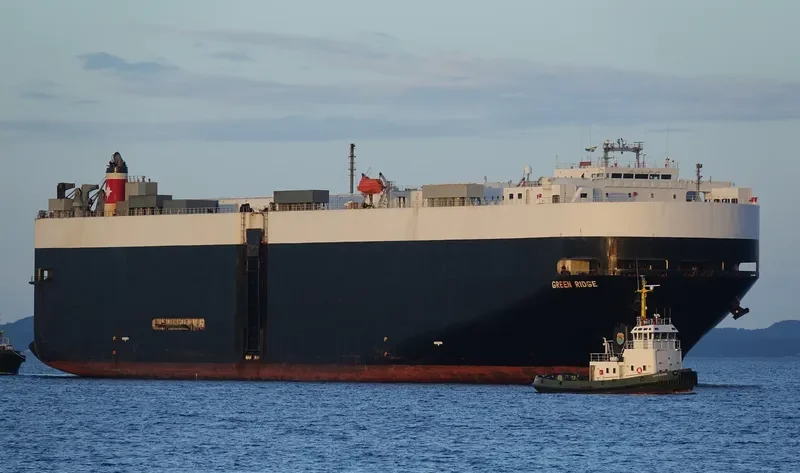 GREEN RIDGE General Cargo IMO 9177428 photo 3