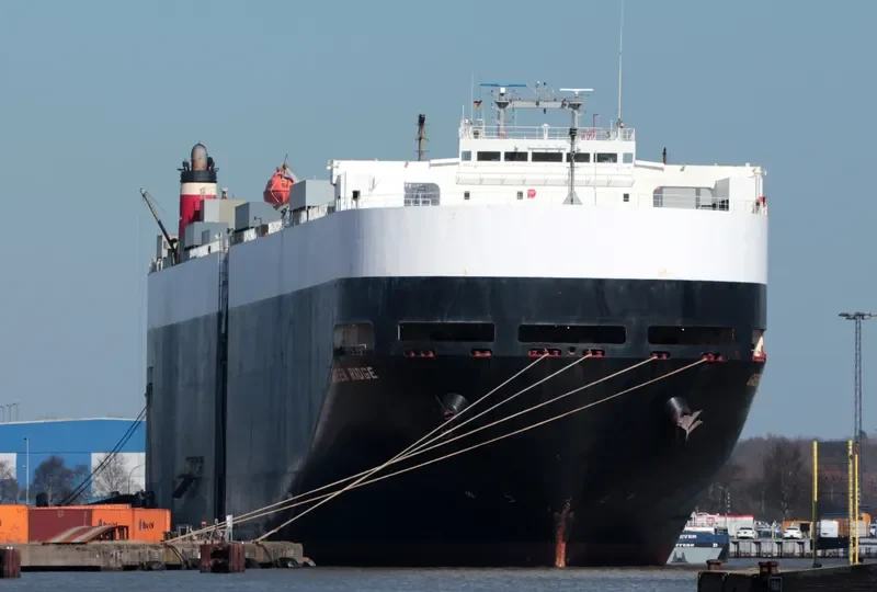 GREEN RIDGE General Cargo IMO 9177428 photo 7