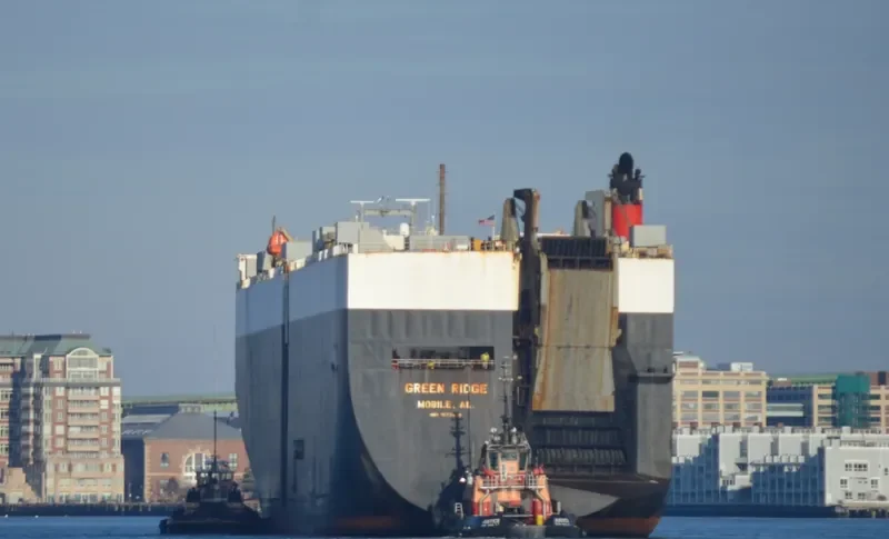 GREEN RIDGE General Cargo IMO 9177428 photo 8