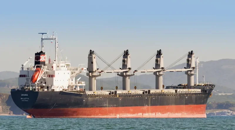 DINA OCEAN Bulk Carrier IMO 9177480 photo 3