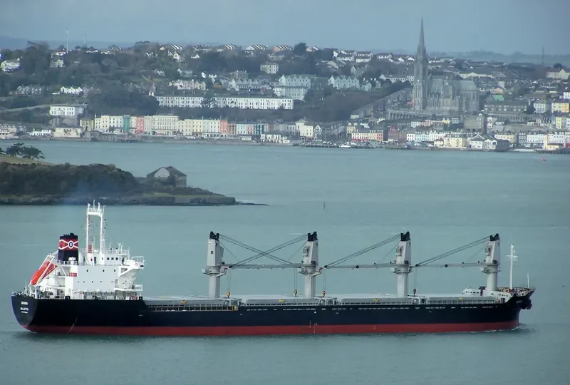 DINA OCEAN Bulk Carrier IMO 9177480 photo 4