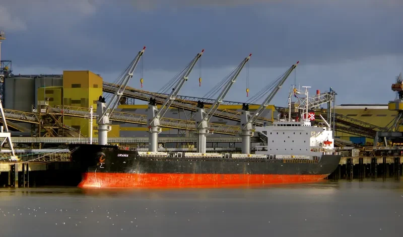 DINA OCEAN Bulk Carrier IMO 9177480 photo 5