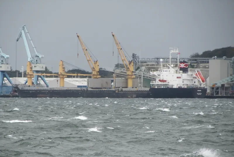 DINA OCEAN Bulk Carrier IMO 9177480 photo 6