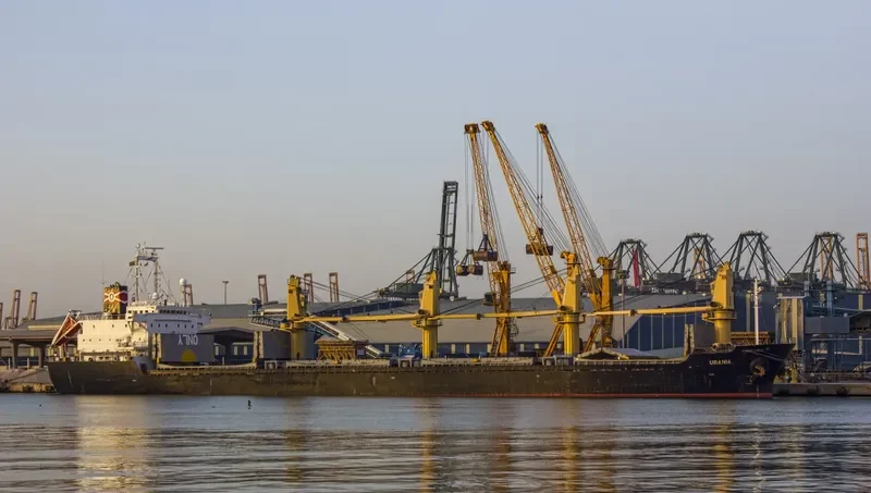 DINA OCEAN Bulk Carrier IMO 9177480 photo 7