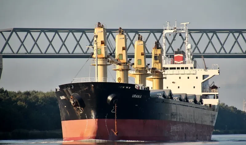 DINA OCEAN Bulk Carrier IMO 9177480 photo 9