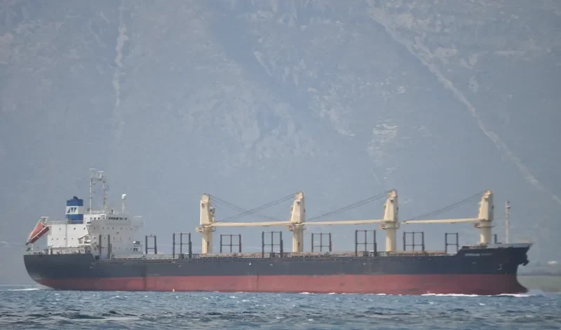 HARVEY WELL Bulk Carrier IMO 9177492 photo 2