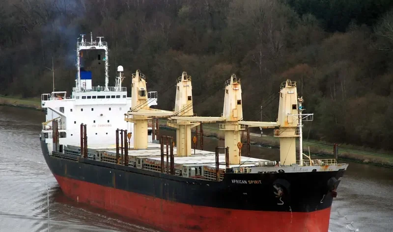 HARVEY WELL Bulk Carrier IMO 9177492 photo 5