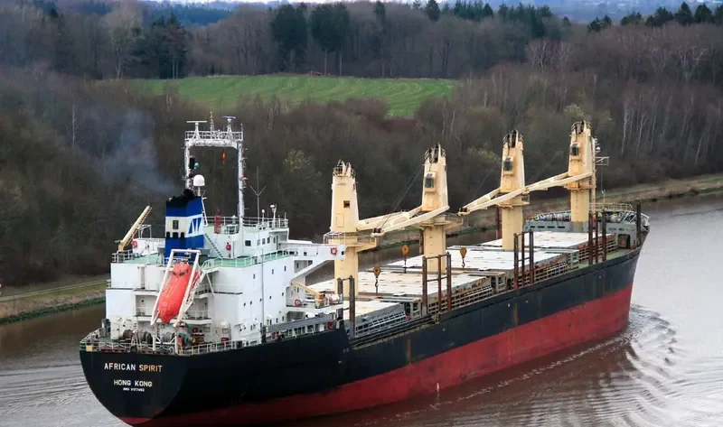 HARVEY WELL Bulk Carrier IMO 9177492 photo 6