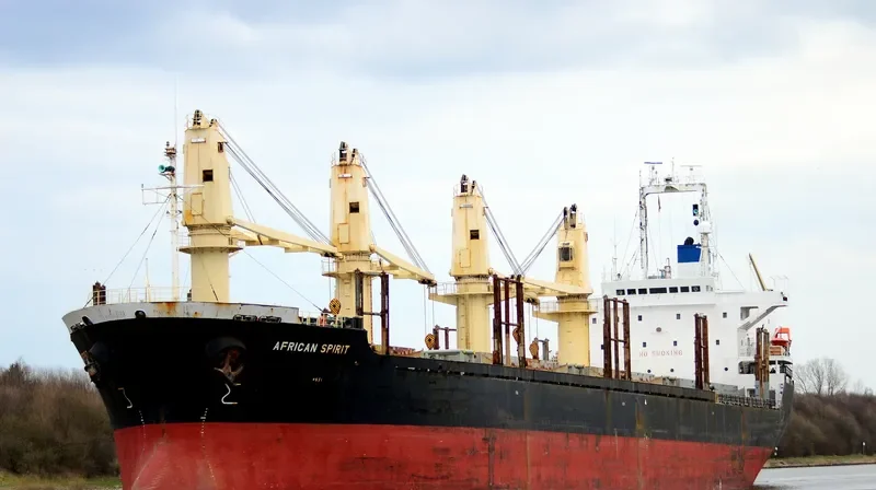 HARVEY WELL Bulk Carrier IMO 9177492 photo 8