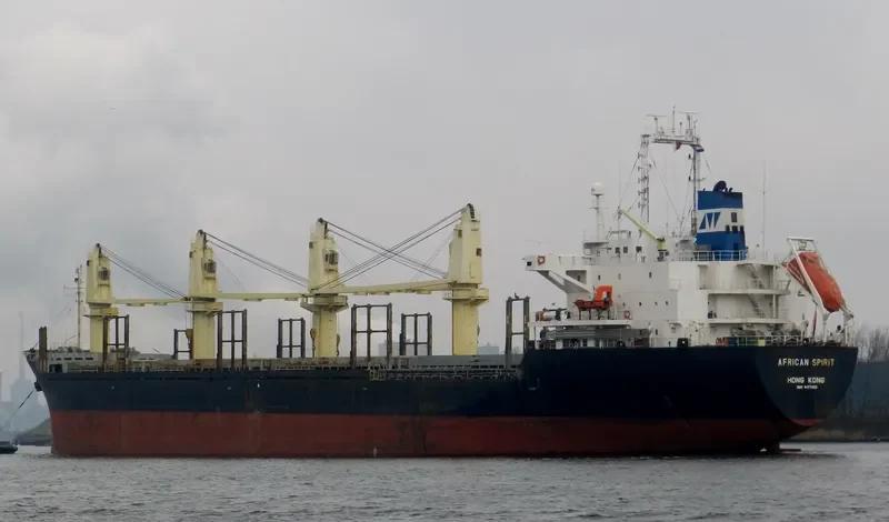 HARVEY WELL Bulk Carrier IMO 9177492 photo 9