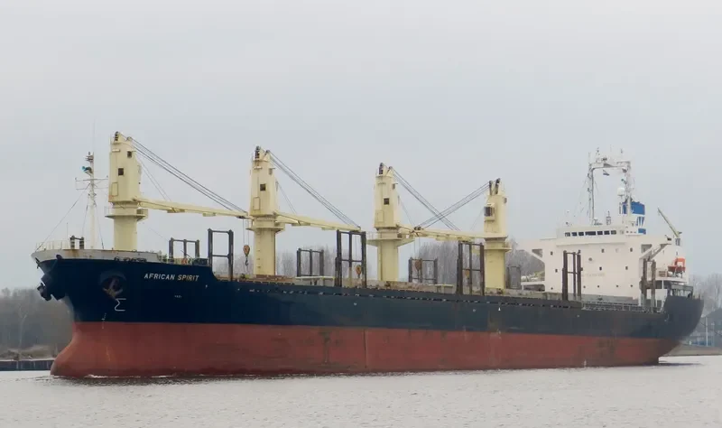 HARVEY WELL Bulk Carrier IMO 9177492 photo 10