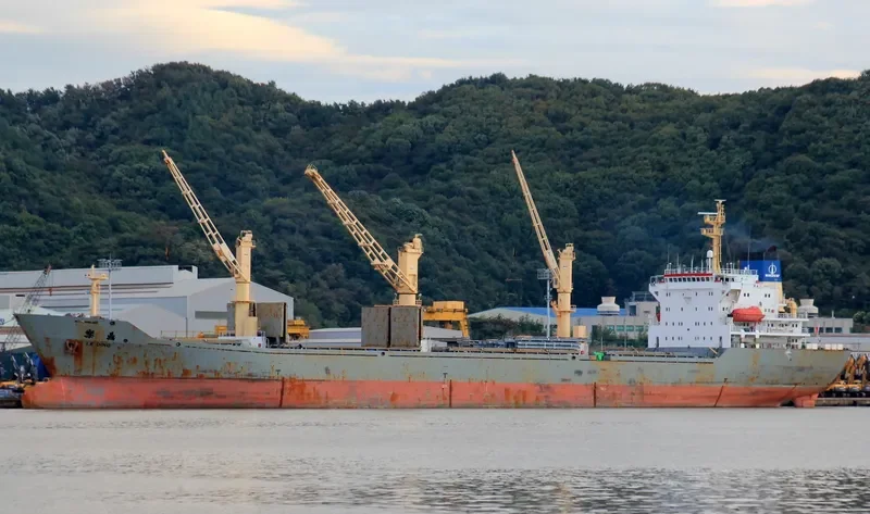 LE DING General Cargo IMO 9177507 photo 7
