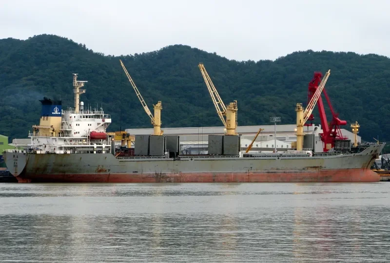 LE DING General Cargo IMO 9177507 photo 9