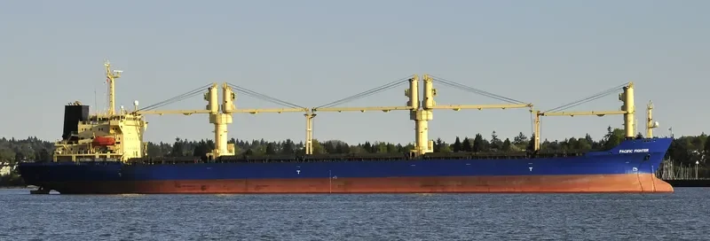 JIN XIU HE General Cargo IMO 9177624 photo 3