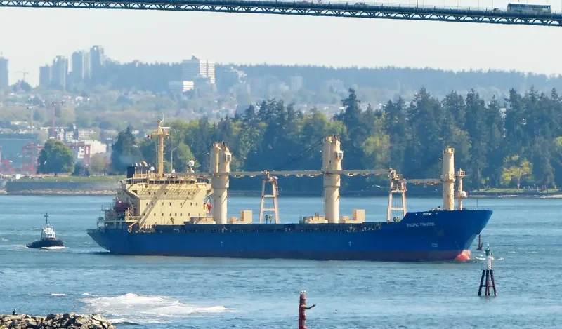 JIN XIU HE General Cargo IMO 9177624 photo 7