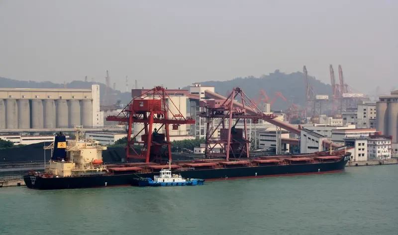 ZHEN YANG NAN HAI Bulk Carrier IMO 9177648