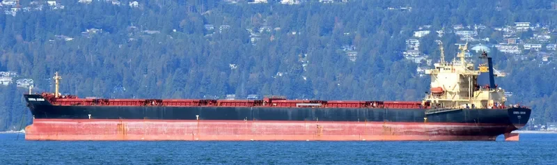 ZHEN YANG NAN HAI Bulk Carrier IMO 9177648 photo 3