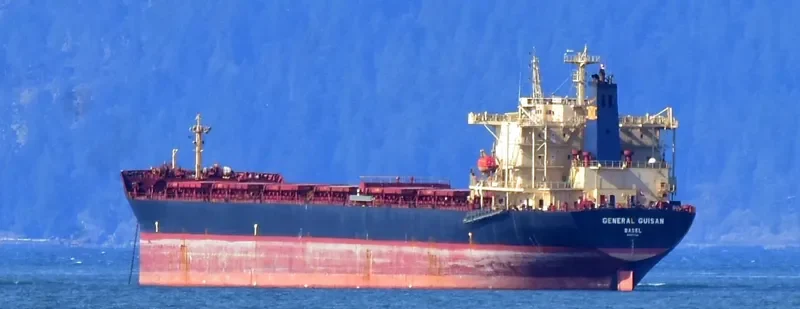 ZHEN YANG NAN HAI Bulk Carrier IMO 9177648 photo 4