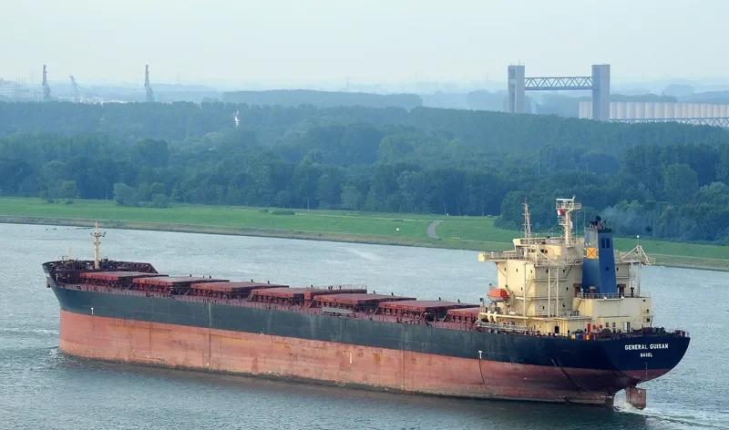 ZHEN YANG NAN HAI Bulk Carrier IMO 9177648 photo 5