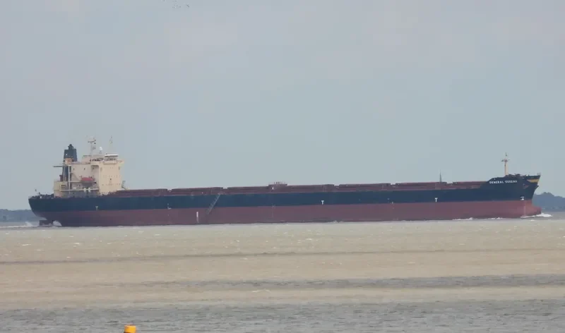 ZHEN YANG NAN HAI Bulk Carrier IMO 9177648 photo 8