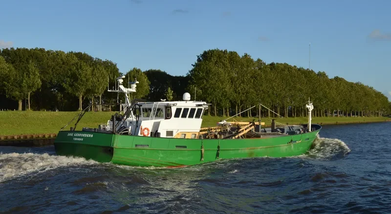 YE38DRIE GEBROEDERS General Cargo IMO 9177698