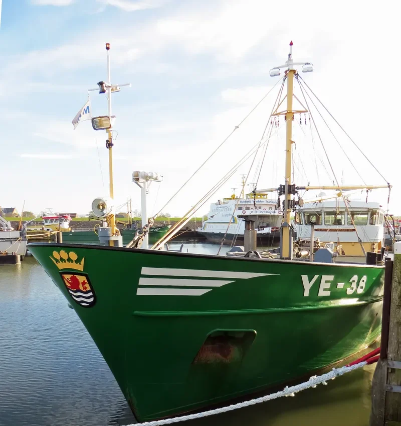 YE38DRIE GEBROEDERS General Cargo IMO 9177698 photo 8