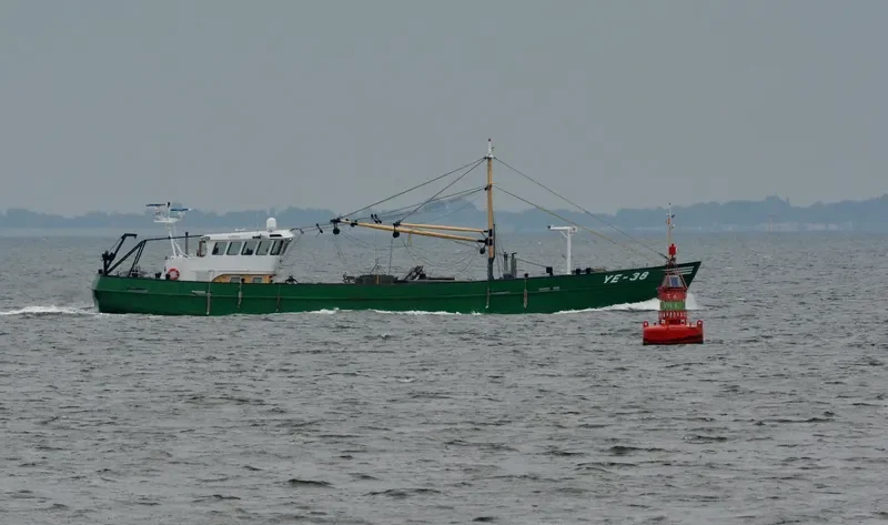 YE38DRIE GEBROEDERS General Cargo IMO 9177698 photo 9