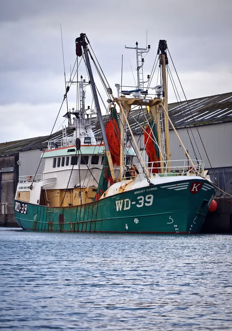 BRIDGET CARMEL General Cargo IMO 9177703 photo 5