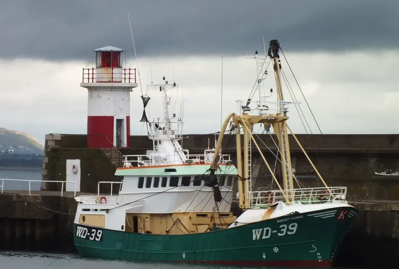 BRIDGET CARMEL General Cargo IMO 9177703 photo 7
