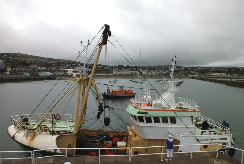 BRIDGET CARMEL General Cargo IMO 9177703 photo 9