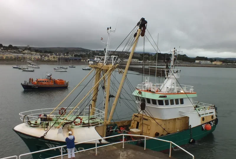 BRIDGET CARMEL General Cargo IMO 9177703 photo 10