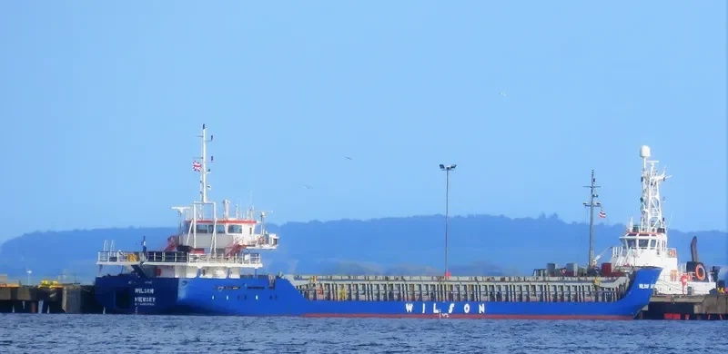 WILSON MERSEY Container Ship IMO 9177868 photo 2